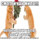 загруженное-_7_.png