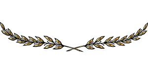 pngwing.com.png