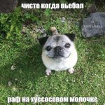 14425661318400150.jpg