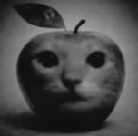 Serious Black And White GIF.gif
