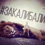 #закалибали.jpg
