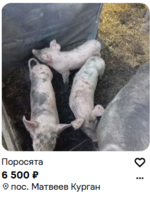 1784744399713.png