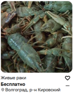 1784744460762.png