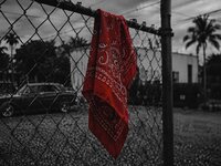 LcfwPHhCpRd-84rvz-8oRhsrvLXtFRnGE-4devDdoxR0BENwH0H6qfYYzgr0AmhoUsqUqT-_1uixrmQC9YlDnN6-.jpg
