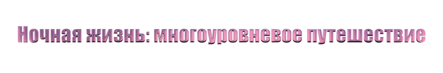 7.png 7.png